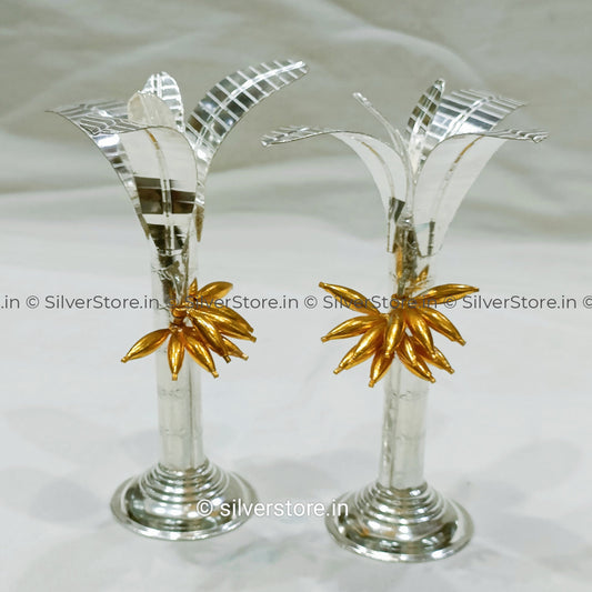 Silver Banana Tree - 5.5 Size